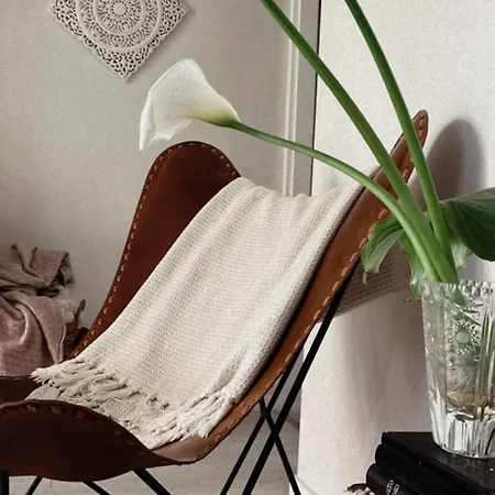 House Of Rosalia روفينج